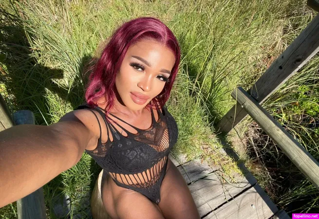 Savannah Lion OnlyFans Thumbnail #H4g9QCJEhZ