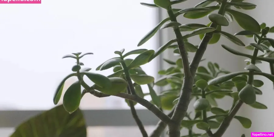 Savbloom OnlyFans Thumbnail #2BNxWSrHsv