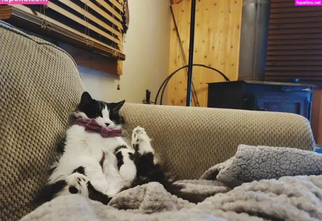 Savingmyinsanity OnlyFans Thumbnail #BsIARlkKnU