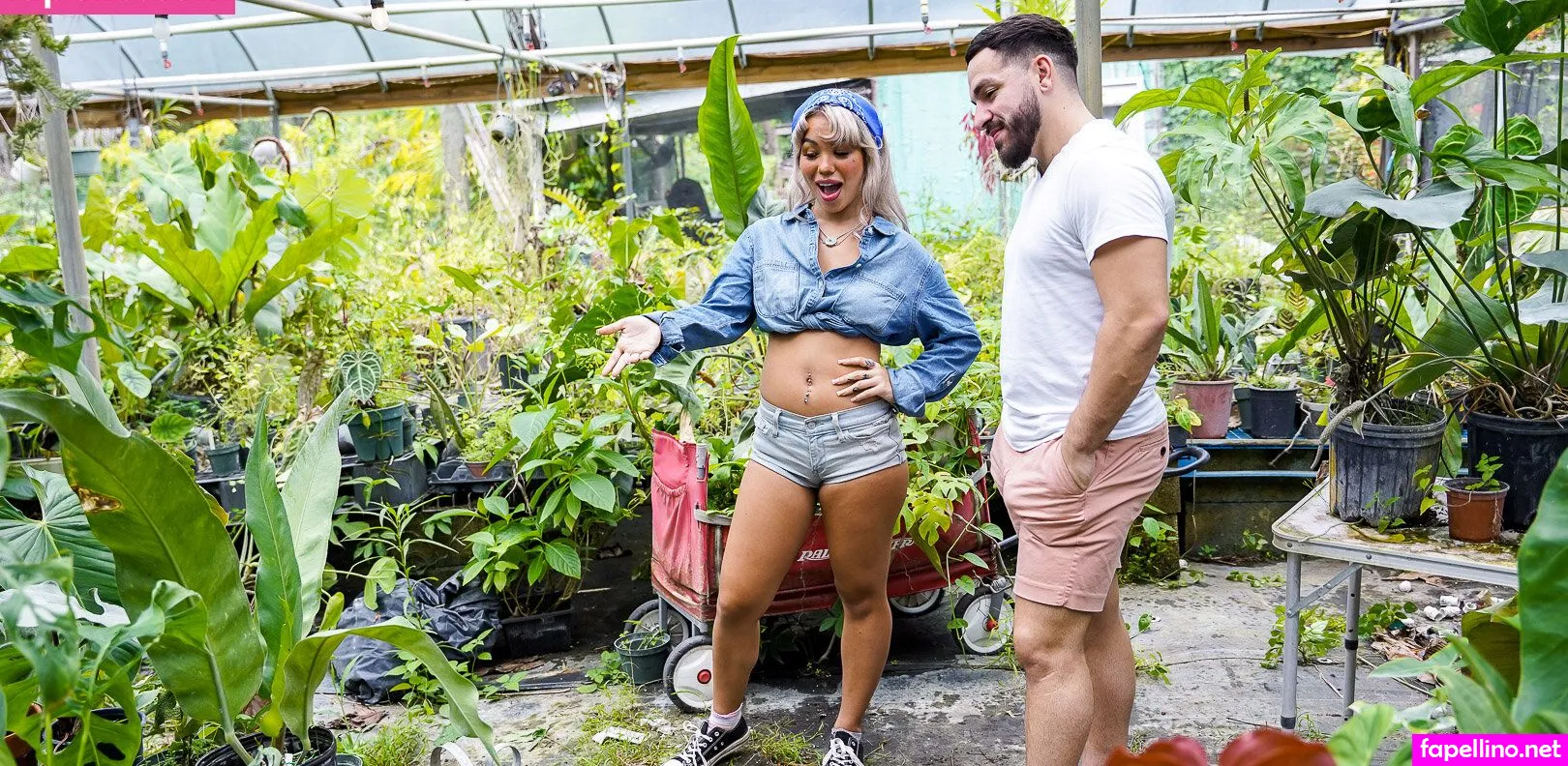 sawyercassidy3x Nude Leaked OnlyFans Photo #stB2nl6jud