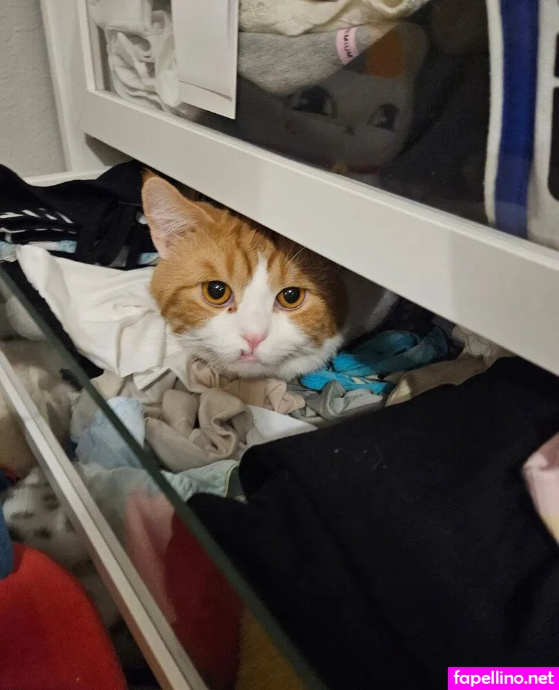 SayuSin Nude Leaked OnlyFans Photo #7U1UyaRgQ4