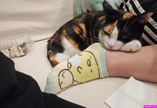 Sayusin OnlyFans Thumbnail #CXKCbo7pKi