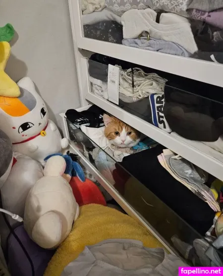 Sayusin OnlyFans Thumbnail #Fb9mR9u9pG