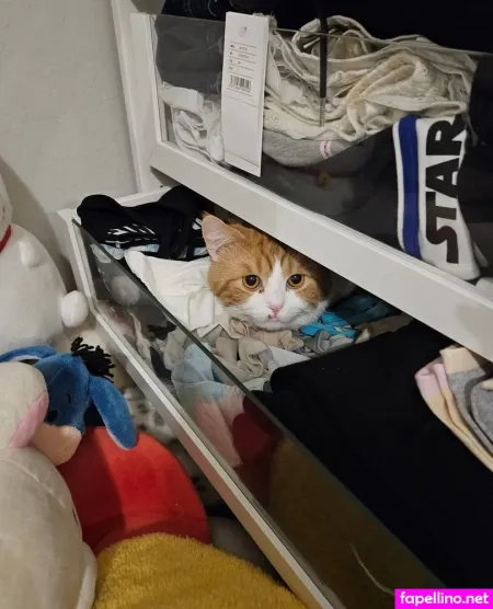 Sayusin OnlyFans Thumbnail #UDeeADr4Bg