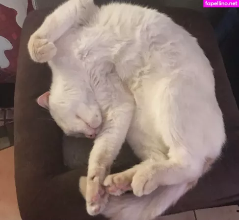 Scarletlabelle OnlyFans Thumbnail #xdXd45sspn