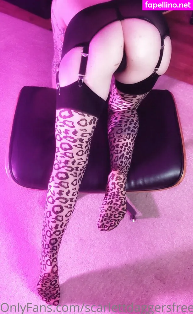 freecuda964, scarlettdaggersfree Nude Leaked OnlyFans Photo #TQvYRtcmQH