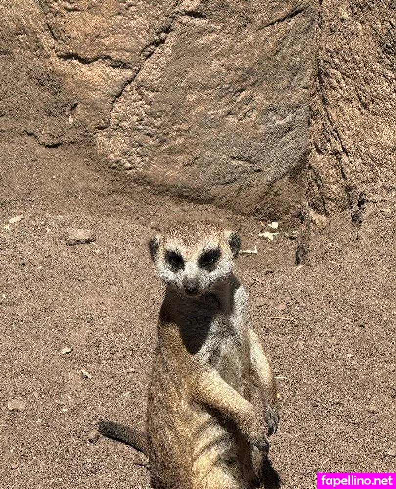 scarletwolf666 Nude Leaked OnlyFans Photo #NRooGOkqCR