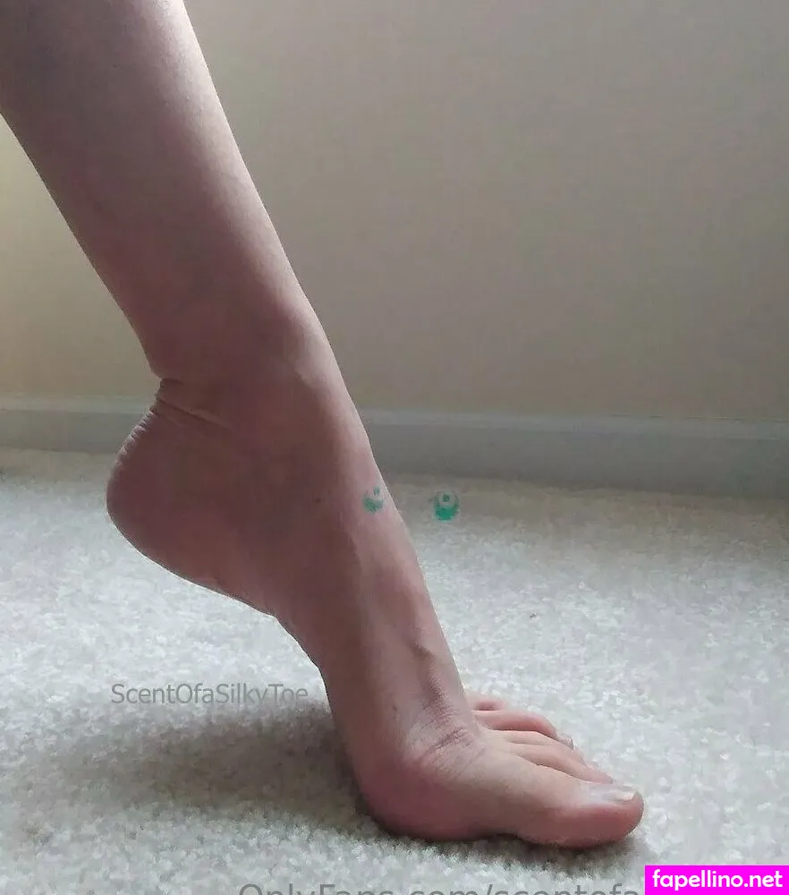 scent_of_a_baby, scentofasilkytoe Nude Leaked OnlyFans Photo #8NZEhOHNdz