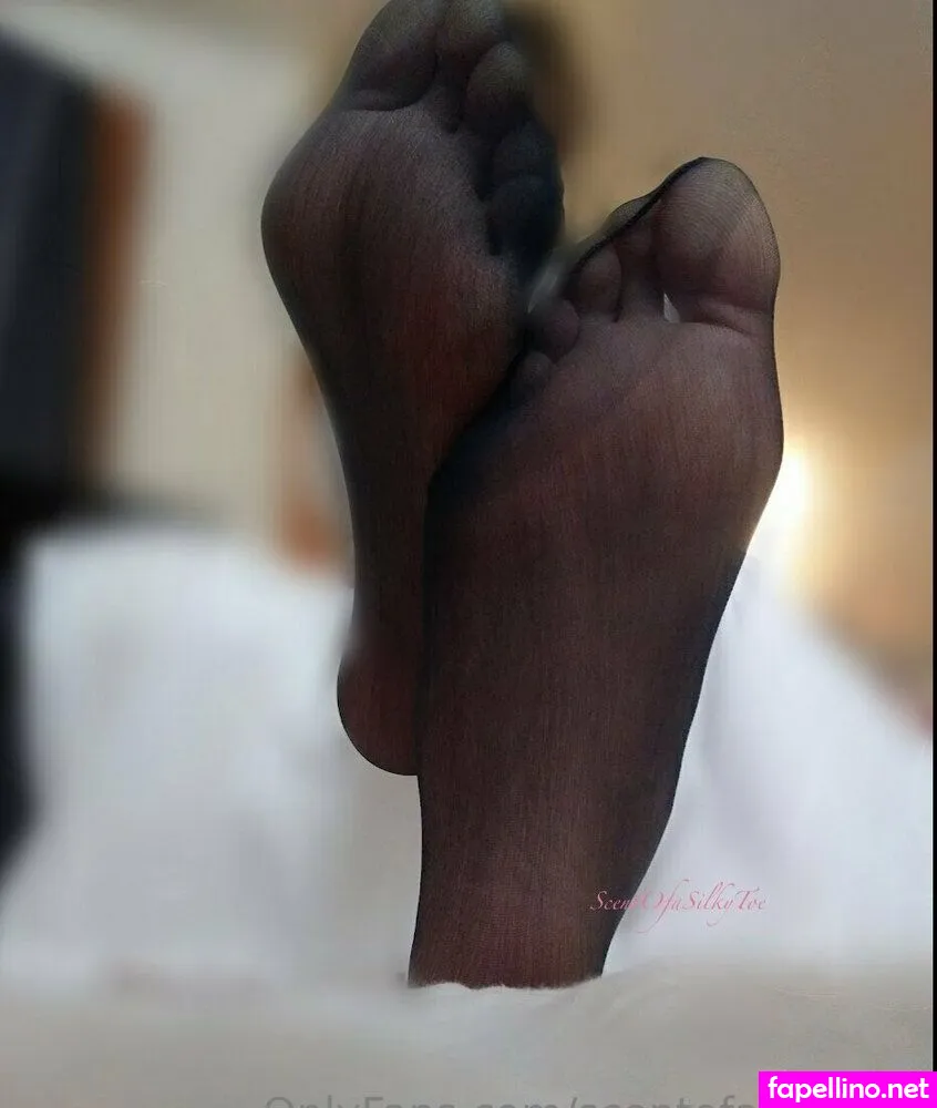 scent_of_a_baby, scentofasilkytoe Nude Leaked OnlyFans Photo #BcEwZ50NCn