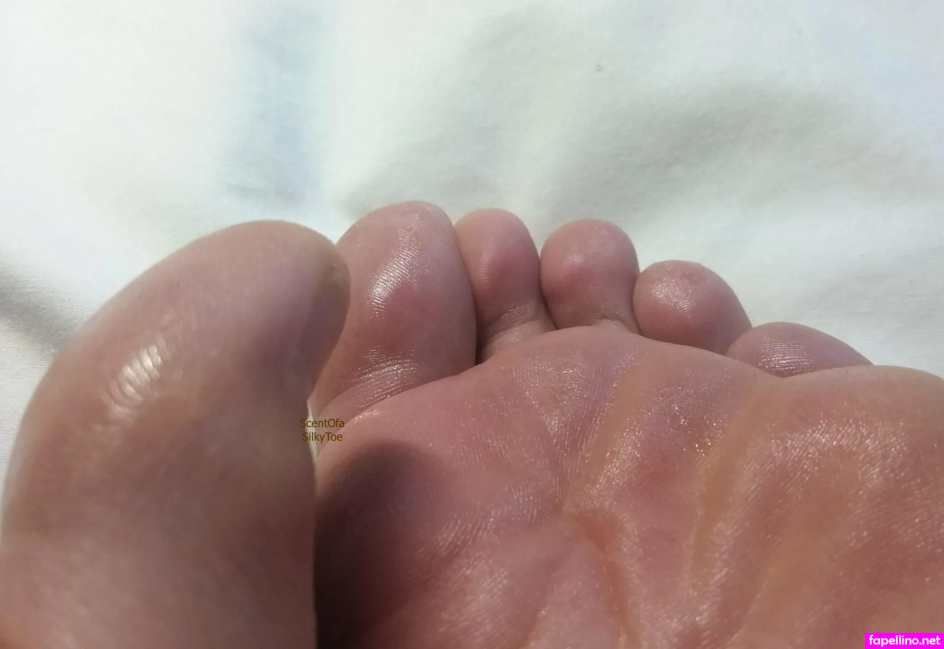 scent_of_a_baby, scentofasilkytoe Nude Leaked OnlyFans Photo #D2lzNzlbkn
