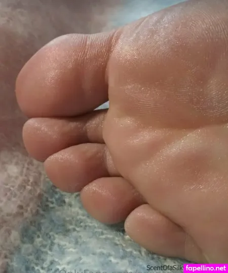 Scentofasilkytoe OnlyFans Thumbnail #FJEe8Sku8f