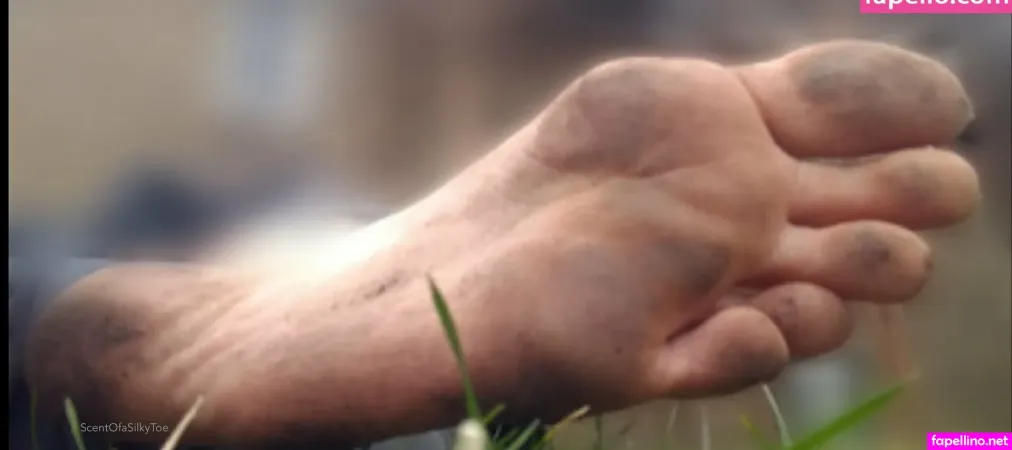 Scentofasilkytoe OnlyFans Thumbnail #X5Ii9c7yc2