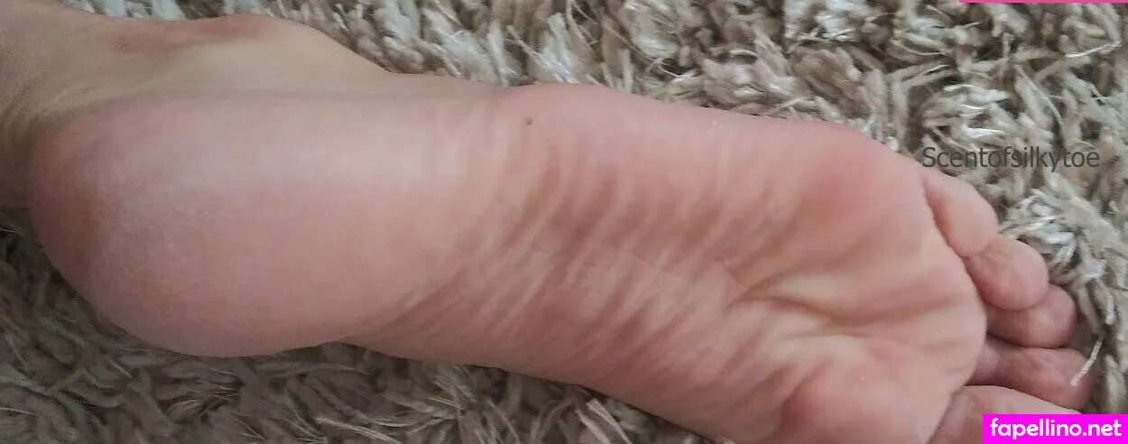 scent_of_a_baby, scentofasilkytoe Nude Leaked OnlyFans Photo #pLaeOL6Z19