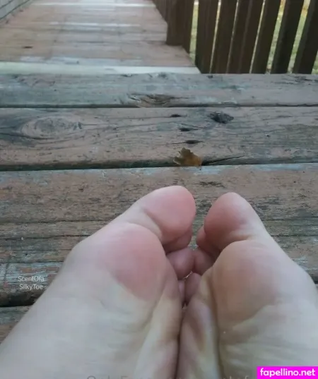 Scentofasilkytoe OnlyFans Thumbnail #uzsitFlaPe