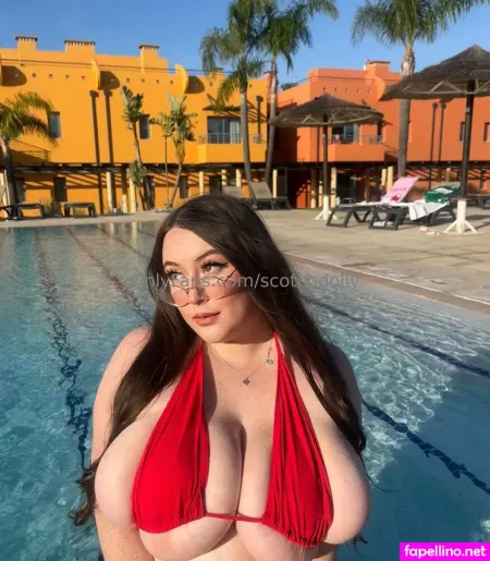 Scotchdolly Main Profile Photo