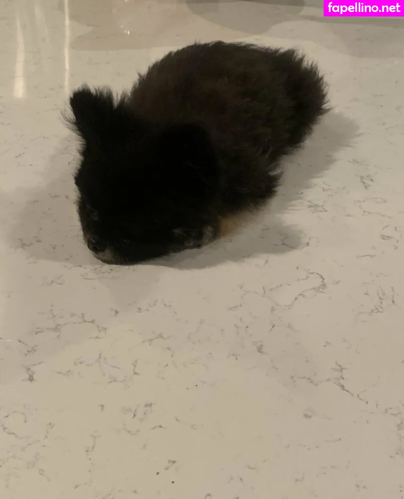 scout, scoutop Nude Leaked OnlyFans Photo #Sznd9sNkYY