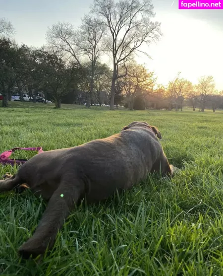 Seitansm1stress OnlyFans Thumbnail #9bxylXOJBq