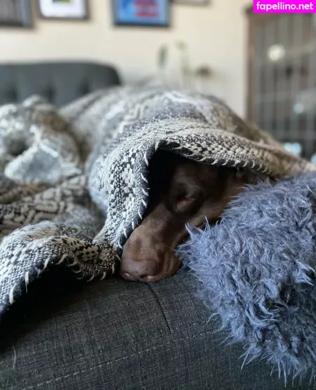 Seitansm1stress OnlyFans Thumbnail #pnPzjsJQD6