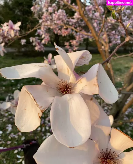 Seitansm1stress OnlyFans Thumbnail #yQviPCRyf4