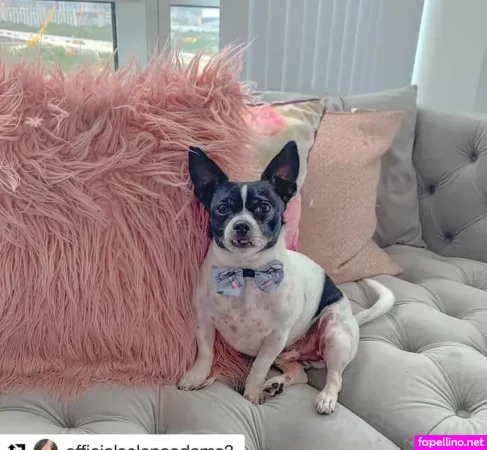 Selena Adams 16 OnlyFans Thumbnail #IvjXUcZ9Nx