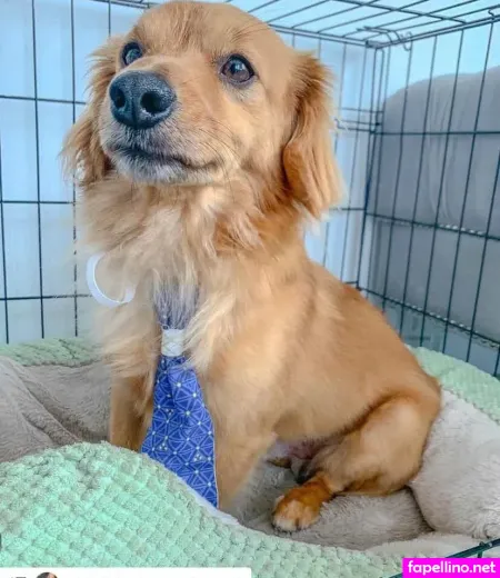 Selena Adams 16 OnlyFans Thumbnail #MU0dHCBNir