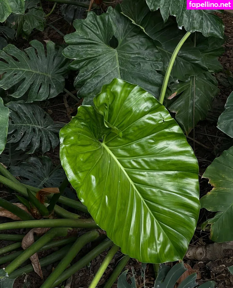 _selfcarewithchloe, selfcarewithchloe Nude Leaked OnlyFans Photo #q6So8ZOvmo