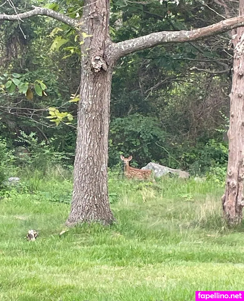 selfexplorenudity Nude Leaked OnlyFans Photo #07VNCya0wR