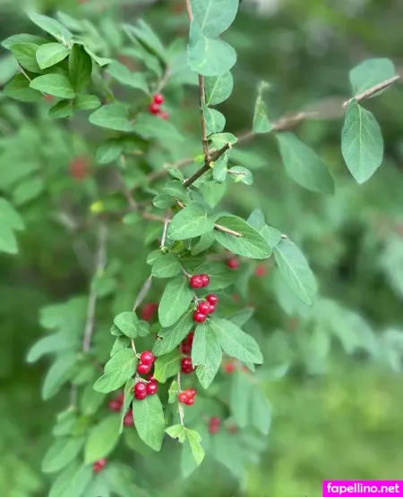 Selfexplorenudity OnlyFans Thumbnail #yQe4vOWEfe