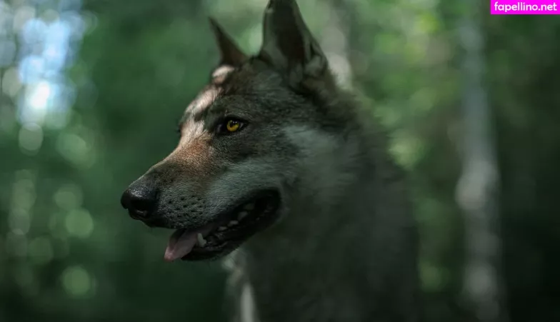 Senedy OnlyFans Thumbnail #0EaNF6wWMj