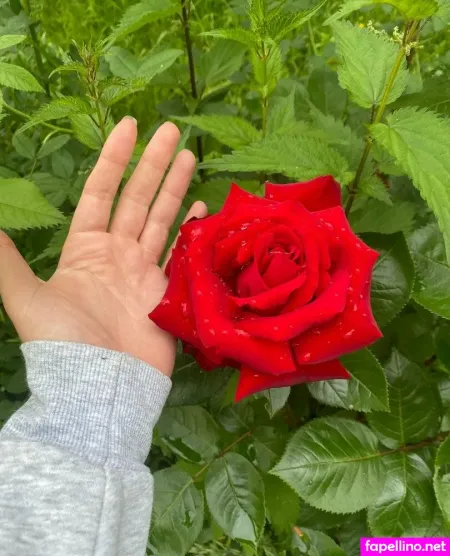 Sensuouszest OnlyFans Thumbnail #Ux0Fe99Axr