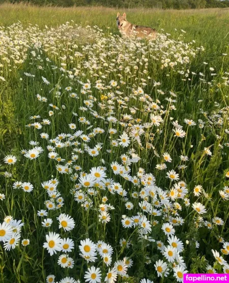 Sensuouszest OnlyFans Thumbnail #X8N4qNbgCQ