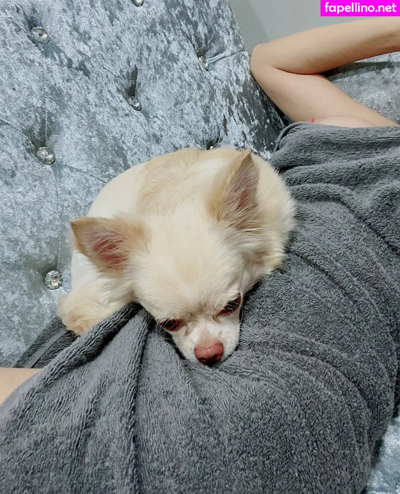 september.k, urkims2 Nude Leaked OnlyFans Photo #c7XNINn84D