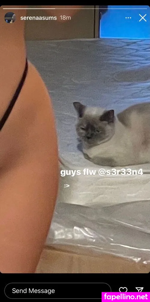 Serenaasums Nude Leaked OnlyFans Photo #Vaf3Tk35Em