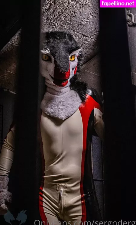 Sergnderg OnlyFans Thumbnail #7qar7QhfsL