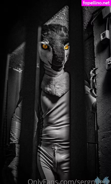 Sergnderg OnlyFans Thumbnail #I4yrXgftjI