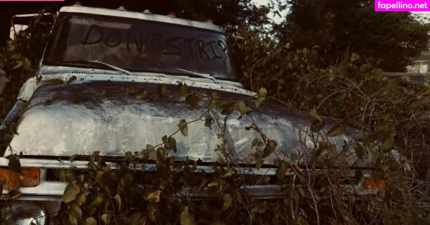 Seriouslyzippy OnlyFans Thumbnail #37P3v9AEIW