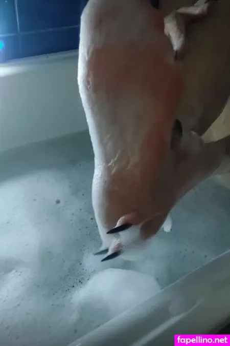 Servetoashley OnlyFans Thumbnail #Wp5Lywclx8