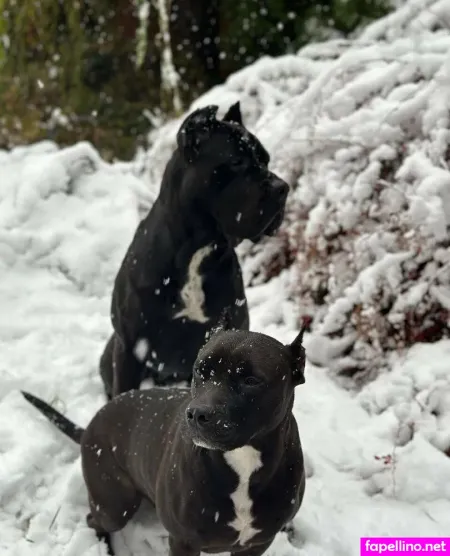 Sexy Ariel OnlyFans Thumbnail #qtGJoeS4X2