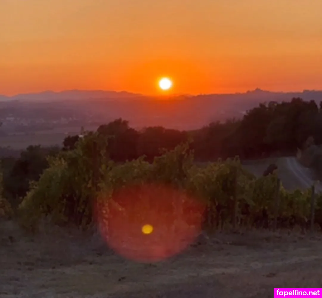 Sexyelena, Sexyelena_94, sexyelena_94official Nude Leaked OnlyFans Photo #bFtTqlGD6Y