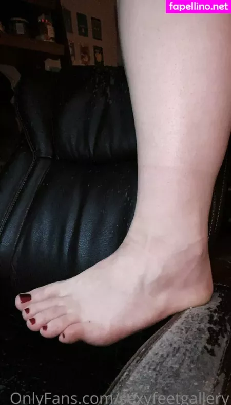 Sexyfeetgallery OnlyFans Thumbnail #KNsNDNoDWR