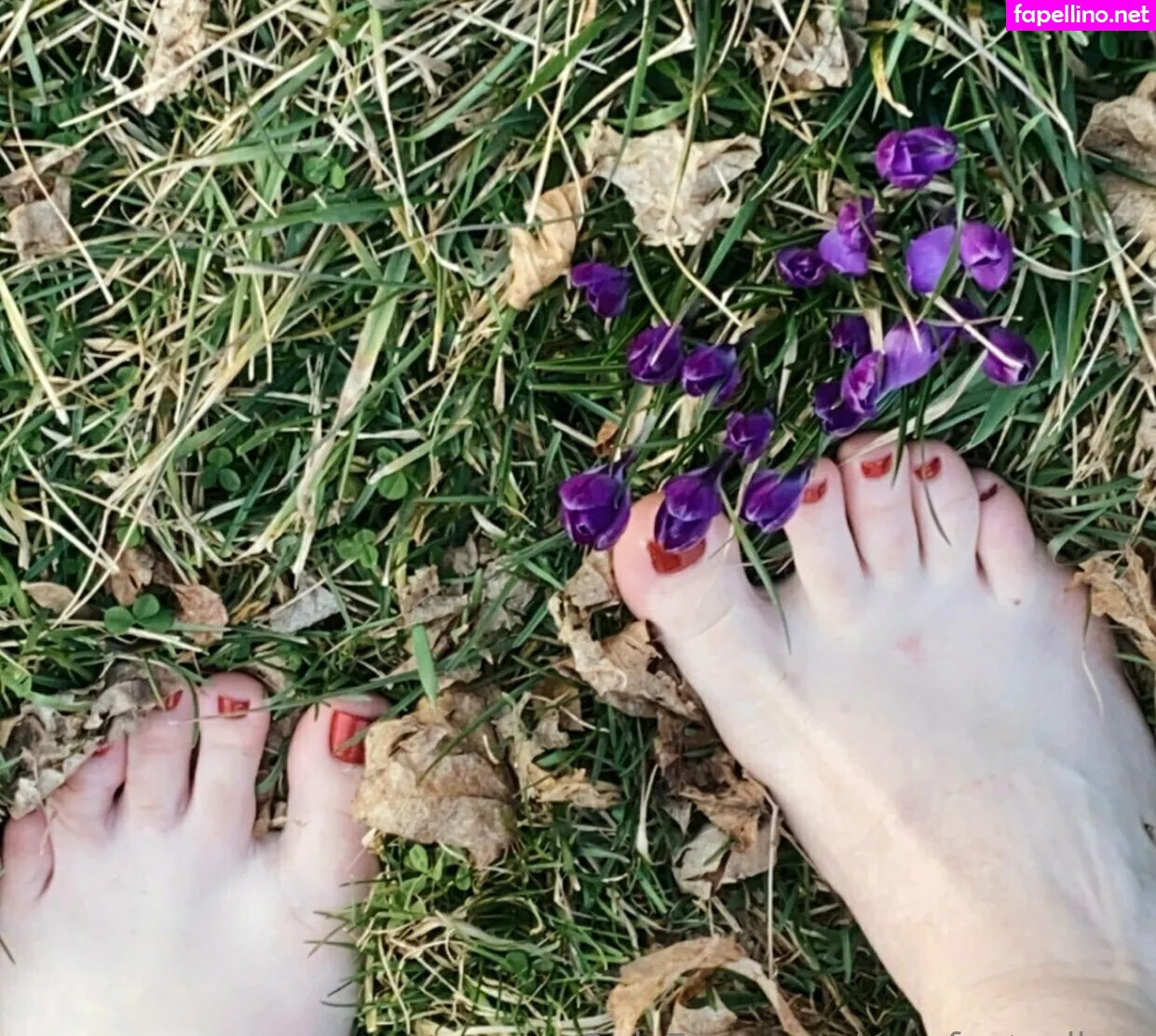 sexyfeetgallery Nude Leaked OnlyFans Photo #gpPiDmIC5d