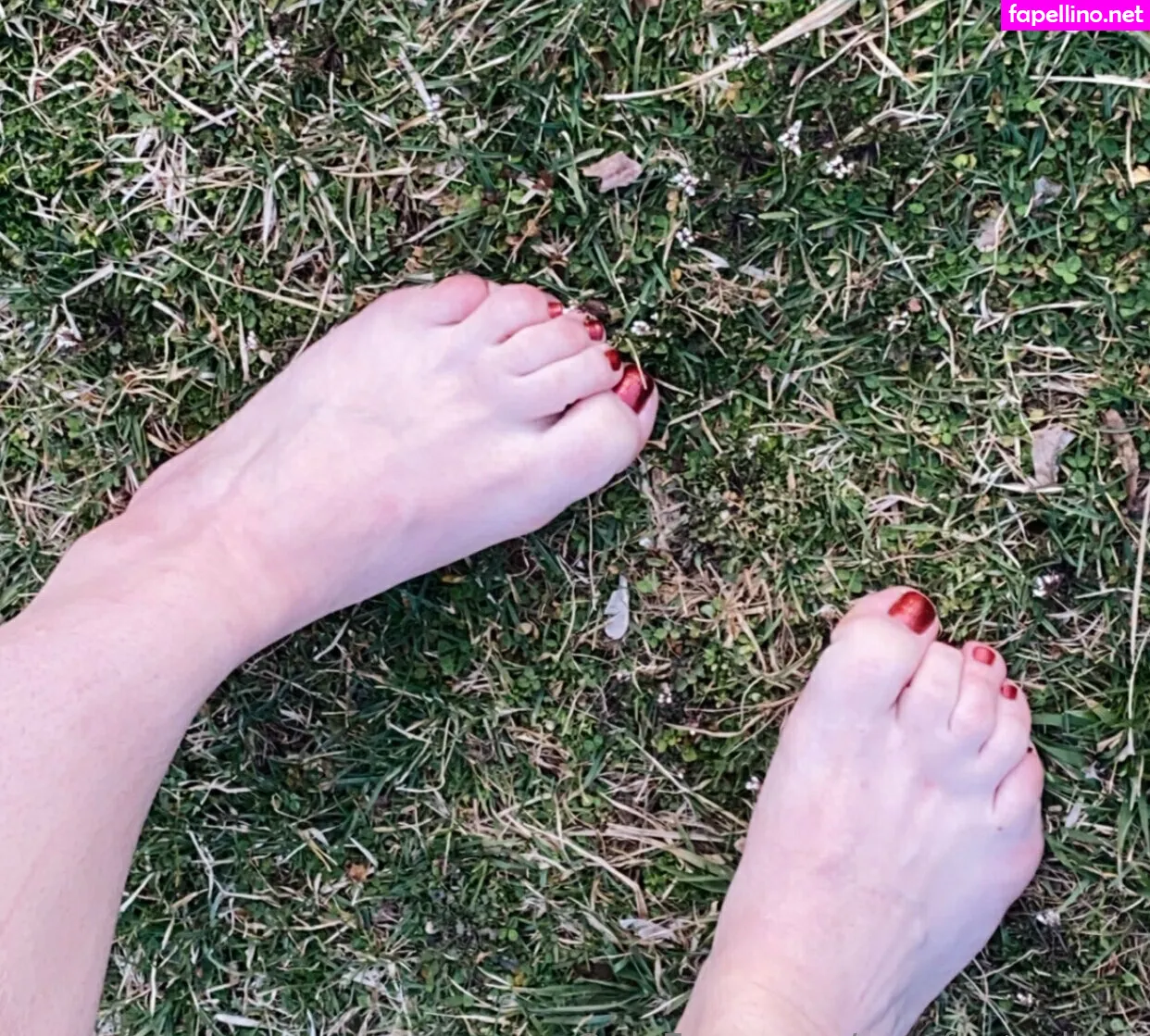 sexyfeetgallery Nude Leaked OnlyFans Photo #w0Pun9P6Xw