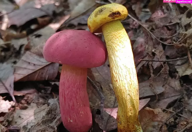 Sexypsychedelic OnlyFans Thumbnail #6mamfduKJY