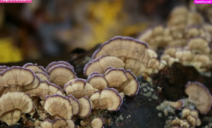 Sexypsychedelic OnlyFans Thumbnail #AWaOB2KGUj