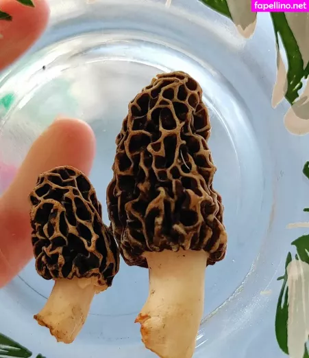 Sexypsychedelic OnlyFans Thumbnail #EfJEPA2gLT