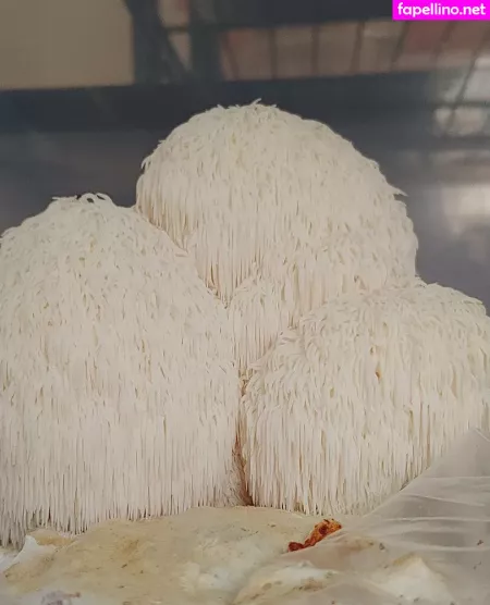 Sexypsychedelic OnlyFans Thumbnail #F4lsLfmjTz