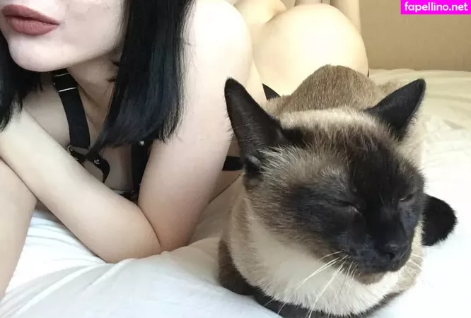 Shadowshine5 OnlyFans Thumbnail #dR1XxOw9zc