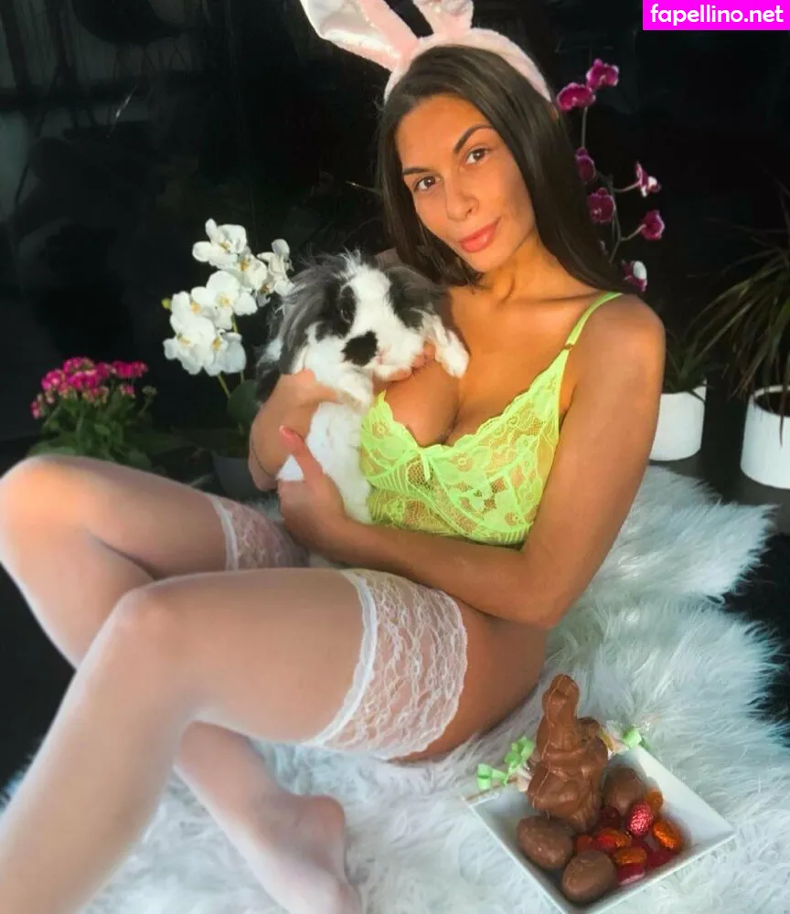 _shanani_fit_, shananiofficial, shaneiofficial Nude Leaked OnlyFans Photo #tn72Vjm6CL