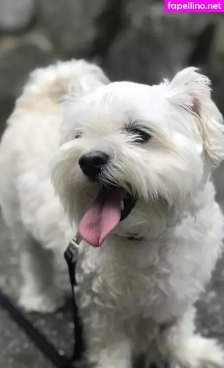 Shanma OnlyFans Thumbnail #asQq9jfph8