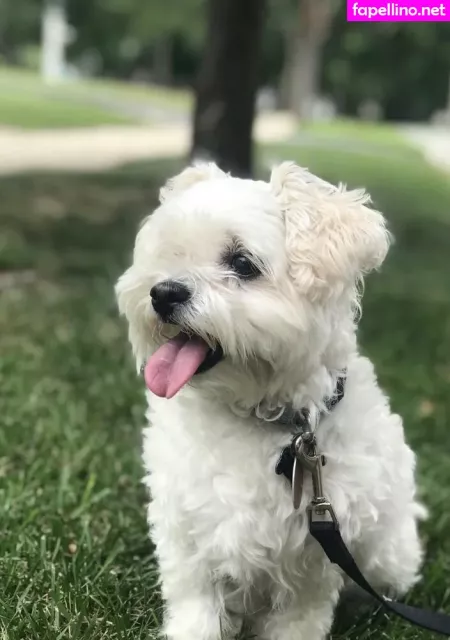 Shanma OnlyFans Thumbnail #e8OA2vTO4p